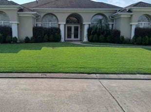 Gaylen S.'s Lawn Maintenance service result