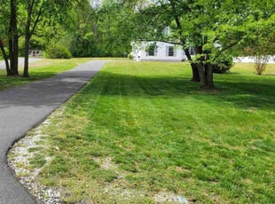 Ivy S.'s Yard Cutting service result
