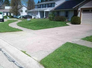 Lloyd M.'s Grass Cutting service result