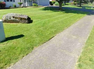 Lorraine M.'s Grass Cutting service result