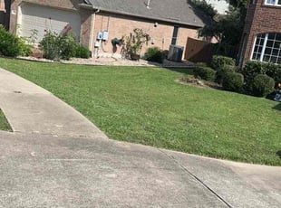 Jennifer D.'s Lawn Mowing service result