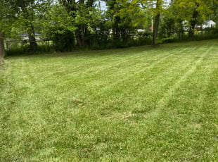 Gary E.'s Lawn Service service result
