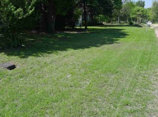 Leaf Removal by Bradley Rearden for Shawn M. in Midlothian, TX