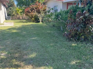 Bush Trimming by Jodi Dyer for Molly P. in Cocoa, FL