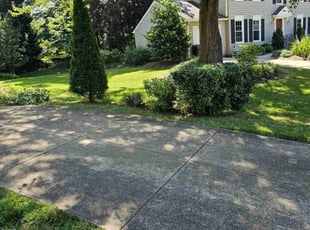 Robert C.'s Grass Cutting service result