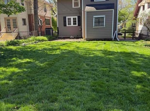 Jeff G.'s Lawn Mowing service result