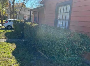 Bush Trimming by Quentin Morgan for James J. in Denton, TX