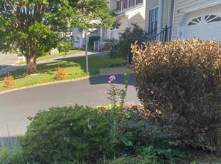 Bush Trimming by Richard Tucker for Vikram R. in Richmond, VA