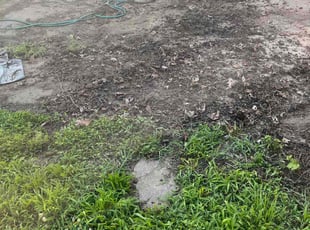 Weeding by Jessica Williams for Pepper S. in St. Louis, MO