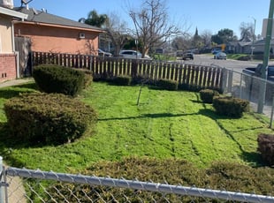 Bush Trimming by Jonathan Allen for Ryan B. in North Highlands, CA