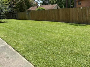 Anani D.'s Lawn Mowing service result