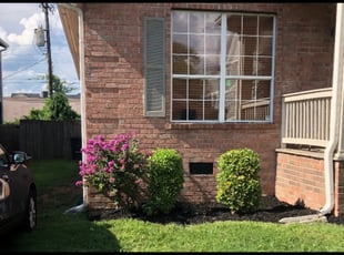 Bush Trimming by Gilberto Nava for Chris B. in Nashville, TN