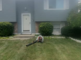 Bush Trimming by Stephen Sheldon for Nosa E. in Cincinnati, OH