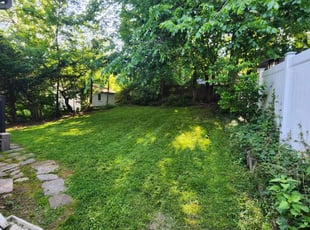 A S.'s Lawn Service service result