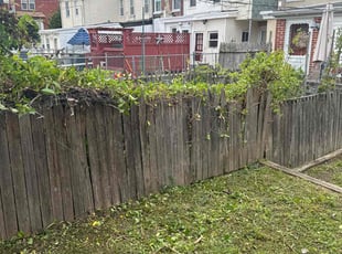 Bush Trimming by Deven Coles for Nicole T. in Eddystone, PA