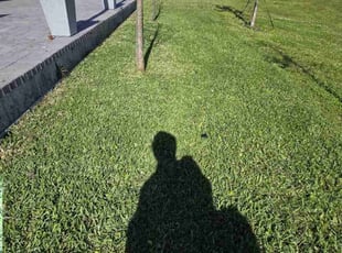 Kay D.'s Lawn Mowing service result