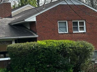 Bush Trimming by Carlos Portillo for Christopher W. in Springfield, VA