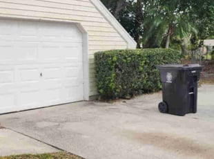 Ruthie W.'s Bush Trimming service result