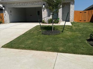 Jennifer M.'s Lawn Mowing service result