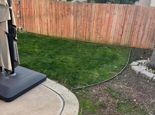 Fatima A.'s Lawn Service service result
