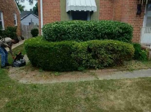 Bush Trimming by Joe Dortch for Fred B. in Richmond, VA