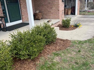 Landscaping by Zach Dangler for Phil S. in East Lansing, MI