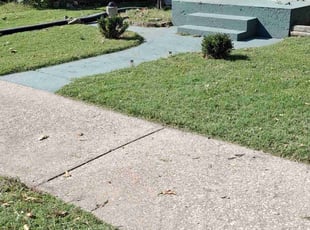 Allen R.'s Lawn Mowing service result