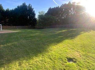 Jewell R.'s Lawn Care service result