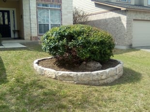 Bush Trimming by Duane Cotton for Sylvester J. in San Antonio, TX