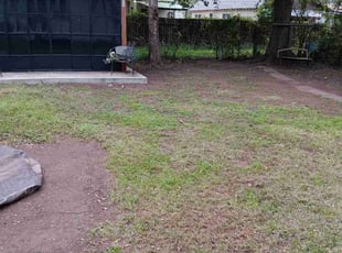 Yvonne M.'s Lawn Care service result