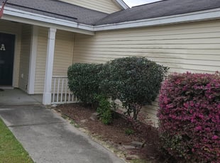 Bush Trimming by Nicholas Murphy for Eric A. in Columbia, SC