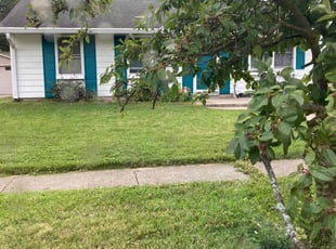Don D.'s Lawn Care service result