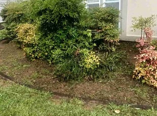 Rick T.'s Flower Bed Weeding service result