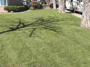 Rozella M.'s Yard Cutting service result