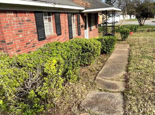 Bush Trimming by Demarcus Labon for Daphne R. in Memphis, TN