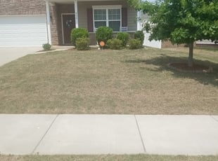 Bush Trimming by Gregory Crayton for Laura B. in Fort Mill, SC