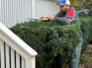 Bush Trimming by Ismael Carrillo for Jennifer M. in Winnetka, IL