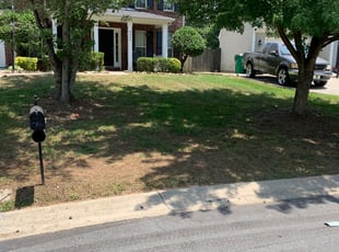 Bush Trimming by Monteith Johnson for Mary S. in Charlotte, NC
