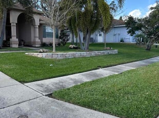 Amal B.'s Lawn Mowing service result