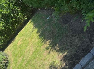 Mulching by Patrick Baptiste for Ignacio F. in Elmont, NY