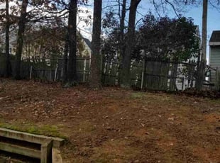 Leaf Removal by Mike Williams for Alexandra M. in Richmond, VA