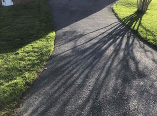 Mike B.'s Yard Cutting service result