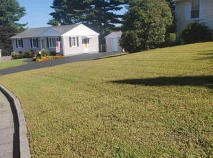 Brian T.'s Grass Cutting service result