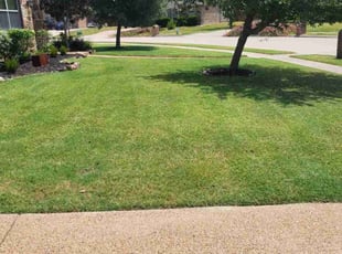 Doris Cathie H.'s Lawn Mowing service result