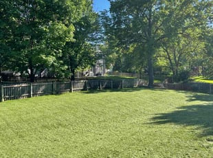 Thomas P.'s Lawn Mowing service result