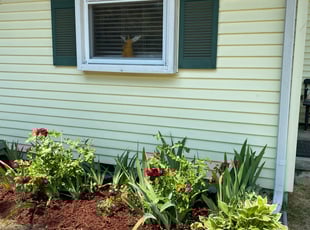 Landscaping by Ted Reimel for Madeline G. in Pennsauken Township, NJ