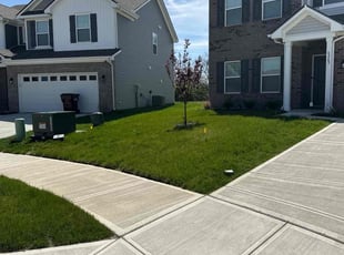 Cris S.'s Lawn Maintenance service result