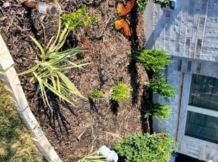 Dana W.'s Flower Bed Weeding service result