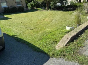 Anil G.'s Lawn Care service result
