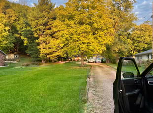 Laurie P.'s Lawn Mowing service result